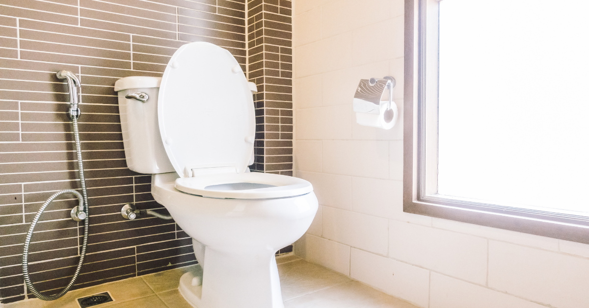 Toilet that Needs Repair ejector pump