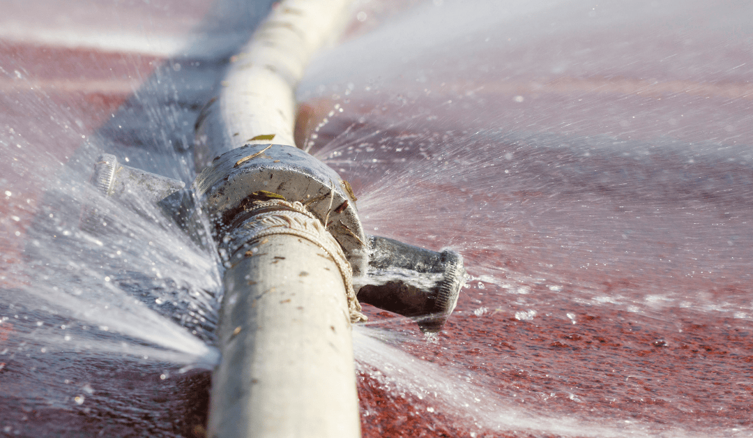 Why Summer Is the Best Time to Fix Hidden Pipe Leaks in Your Champaign-Urbana Home